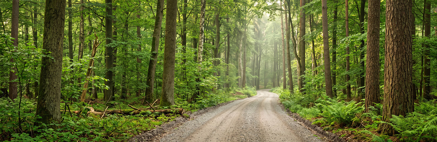 Image: Toyota Showcases Environmental Challenge 2050 Initiatives on Bloomberg’s Earth with John Holden